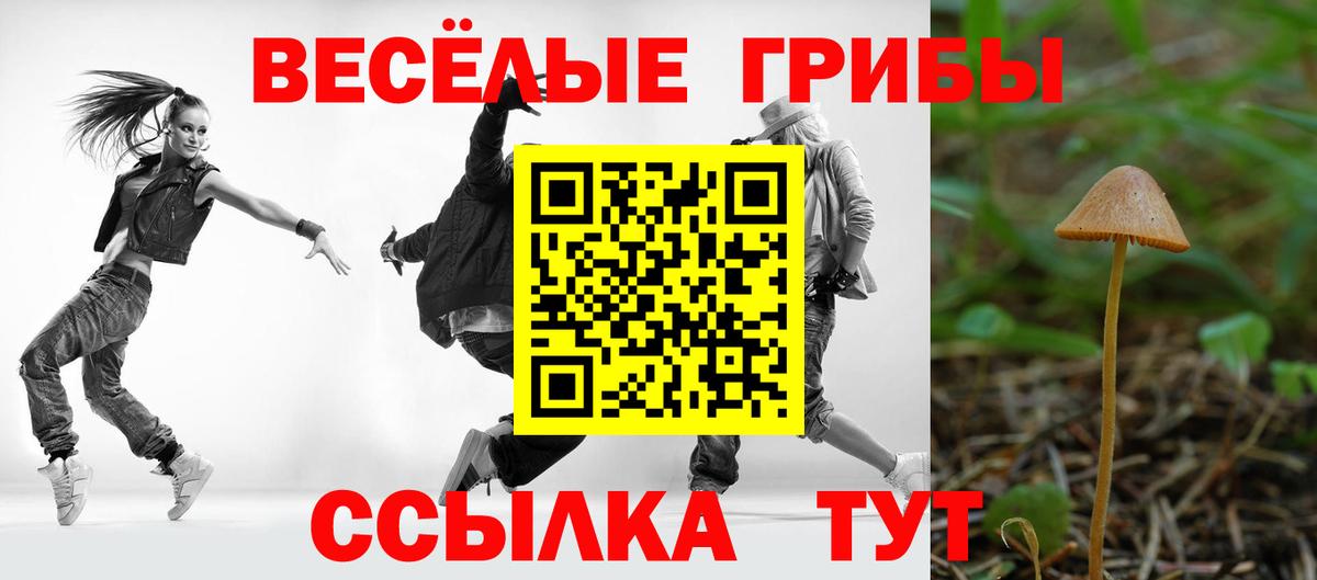 Заводоуковск  Псилоцибиновые грибы MAGIC MUSHROOMS  Галлюциногенные грибы прущие грибы  Вход с VPN 